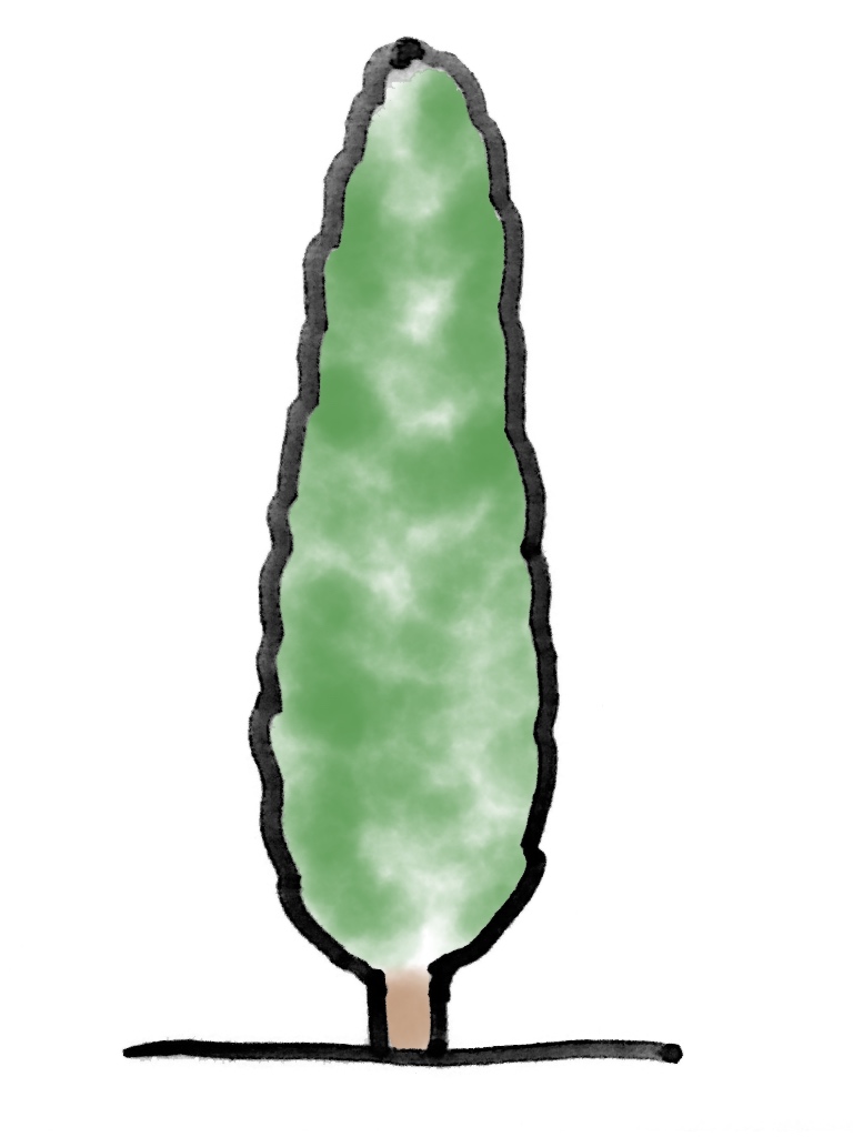 ファスティギアータ