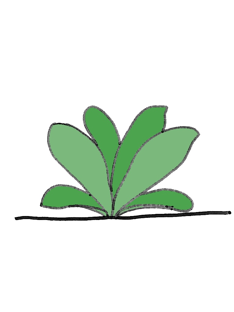 根生(こんせい)