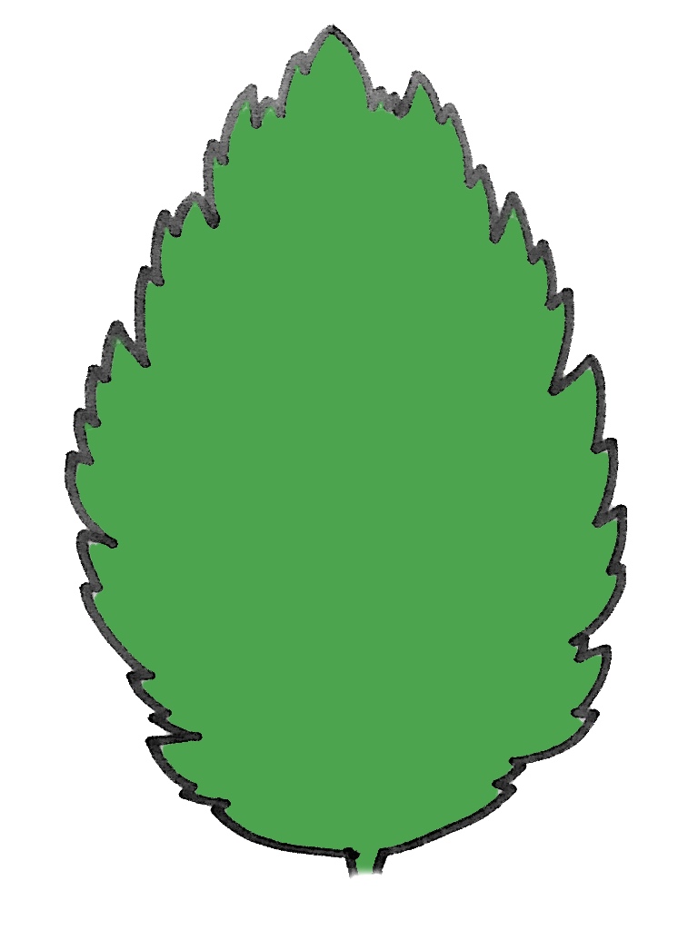 重鋸歯(じゅうきょし)