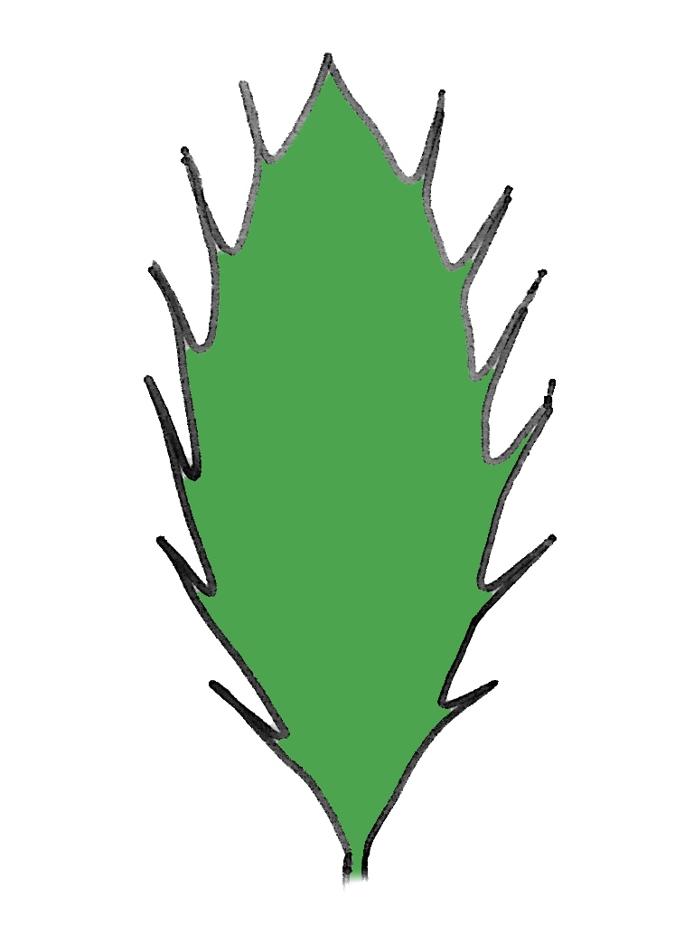 刺状(しじょう)